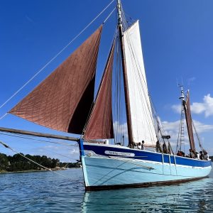 Bon Cadeau "Journée Golfe du Morbihan"_Ile Ilur