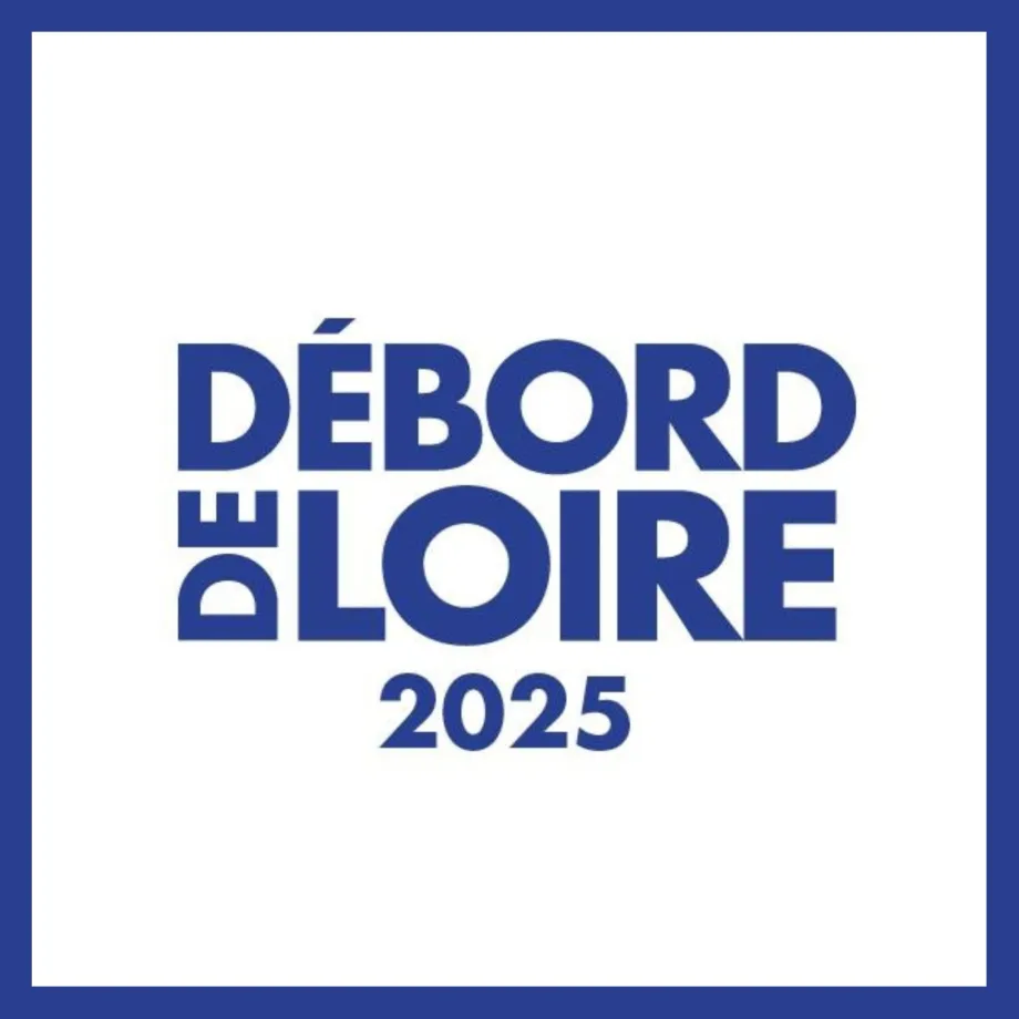 debord-de-loire logo