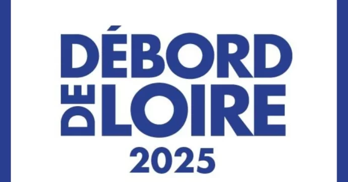 debord-de-loire logo